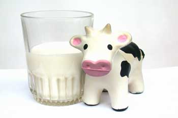 leche-de-vaca1